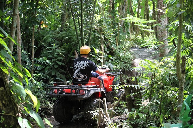 1.5 Hours Bali ATV Quad Tour - Group size, pace, and comfort