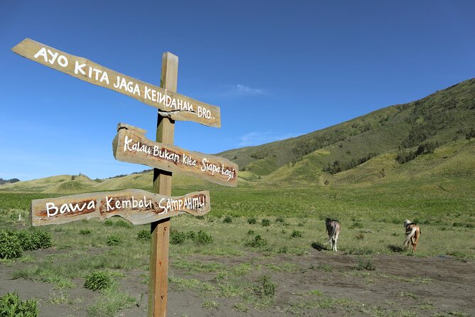 1 Day - Bromo Afternoon Siesta Tour start MALANG or SURABAYA // 11:00 - 18:00 - From Malang at 11am to the high viewpoints