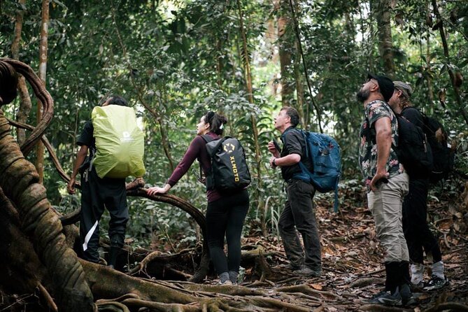 1 Day Ethical Jungle Trekking - Starting at 9:00 am in Bukit Lawang