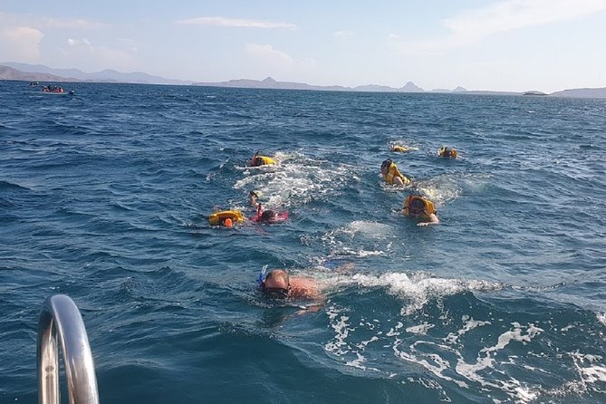 1- day Komodo Island Hopping Tour by Speed Boat departure From Labuan bajo - 5:30am pickup and the ride to Padar Island