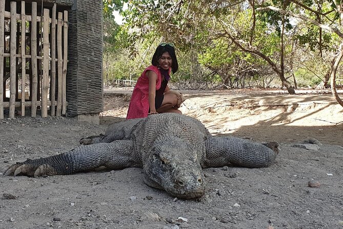 1- day Komodo island Tour hopping around by Speed Boat - Taka Makassar: a tiny strip of sand at sea