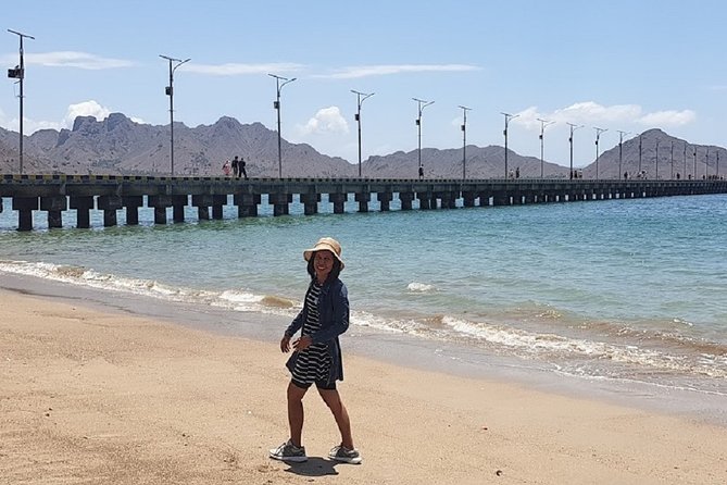 1- day Komodo island Tour hopping around by Speed Boat - Manta Point and the limits of a wildlife promise