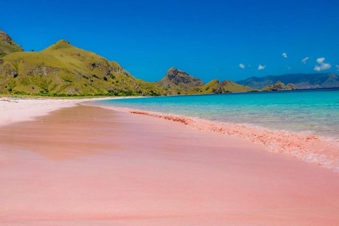 1 Day Komodo Trip by Private Fast Boat - Padar Island: the climb that earns the view