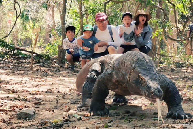 1 Day Komodo Trip By Share Fast Boat - Komodo Island means wildlife with a ranger