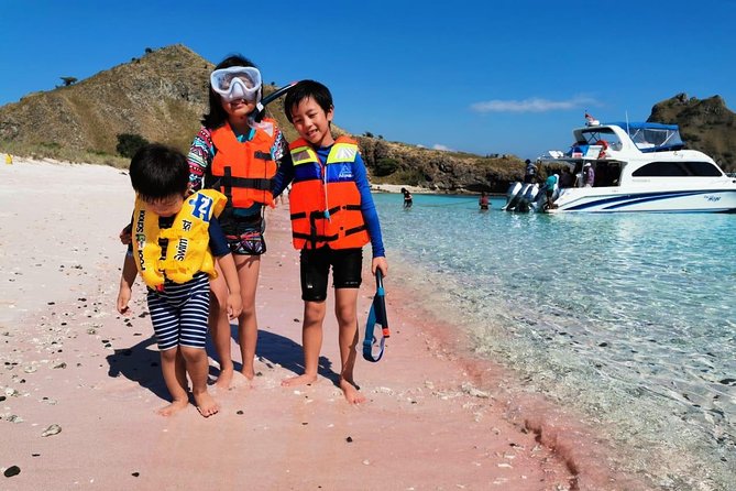 1 Day Komodo Trip By Share Fast Boat - What the $140 price really covers