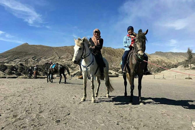1 Day - Mount Bromo (5 spots) and Madakaripura waterfall // 23.00 - 18.00 - Why this Bromo day works from Malang