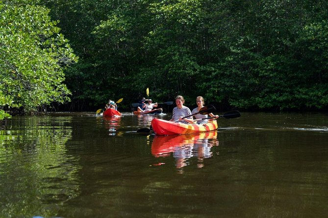 1 Hour Mangrove Tour From Lembongan with Kayak, Paddle, or Boat - Entering Nusa Lembongan’s mangrove forest