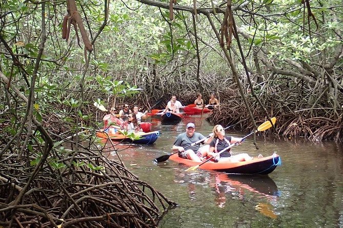 1 Hour Mangrove Tour From Lembongan with Kayak, Paddle, or Boat - The value of the hotel transfer