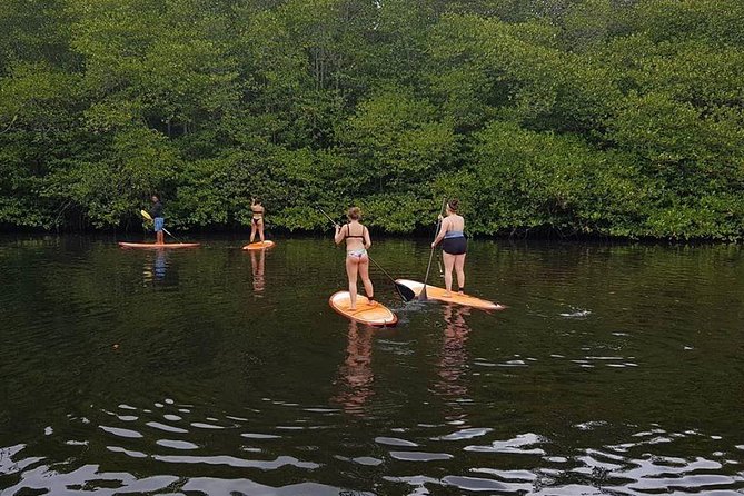 1 Hour Mangrove Tour From Lembongan with Kayak, Paddle, or Boat - Practical details that affect your decision