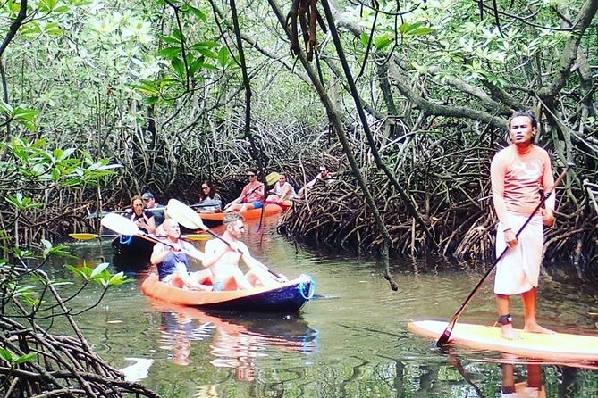 1 Hour Mangrove Tour From Lembongan with Kayak, Paddle, or Boat - Choosing between a kayak, SUP, and transparent boat