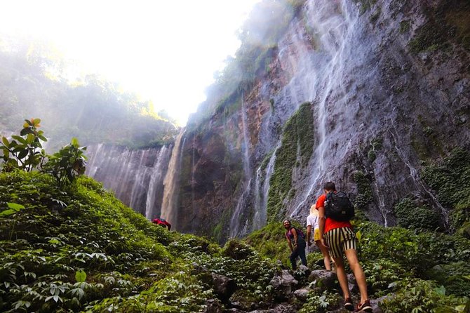 1Day - Tumpak Sewu Waterfall and Goa Tetes Cave Trekking - Key points at a glance