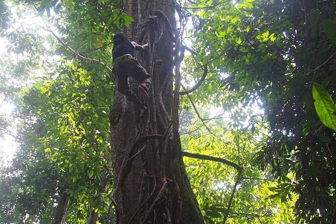 2-Day Jungle Trekking & Rafting in North Sumatra - Rafting back to Bukit Lawang