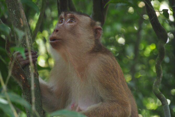 2-Day Jungle Trekking & Rafting in North Sumatra - What to pack and how to prepare