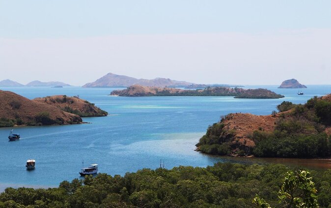2-Day Komodo National Park and Rinca Island Wildlife Adventure from Bali - Why the Komodo dragons make this trip special