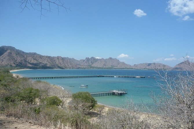 2-Day Komodo National Park and Rinca Island Wildlife Adventure from Bali - One night onboard: convenient, but keep expectations sensible