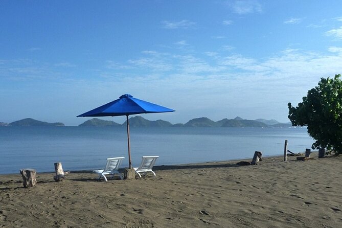 2-Day Komodo National Park and Rinca Island Wildlife Adventure from Bali - Day two: airport transfer and return to Bali