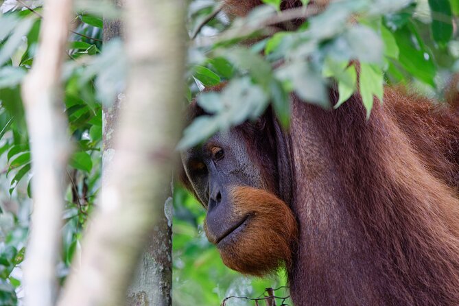 2 Days 1 Night Ethical Jungle Trekking - Learning about forest plants on day two