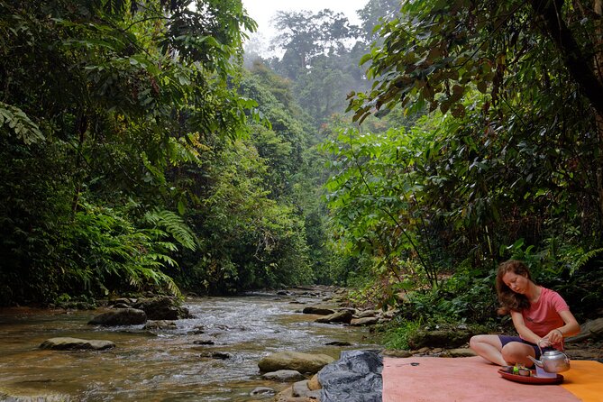 2 Days 1 Night Ethical Jungle Trekking - Safety, wildlife, and the role of the guide
