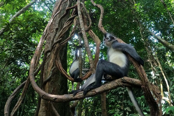 2 Days 1 Night in THE JUNGLE Mount Leuser ( See ORANGUTAN) - The jungle camp: simple, supplied, and part of the point