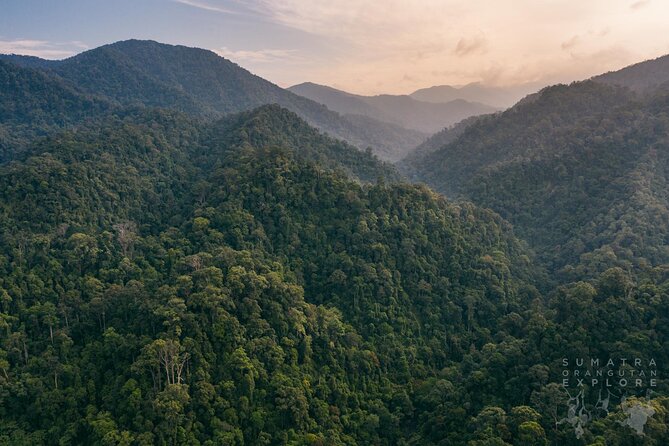 2 Days and 1 Night Ethical Jungle Trek - Day 1: From river and rubber trees into Gunung Leuser