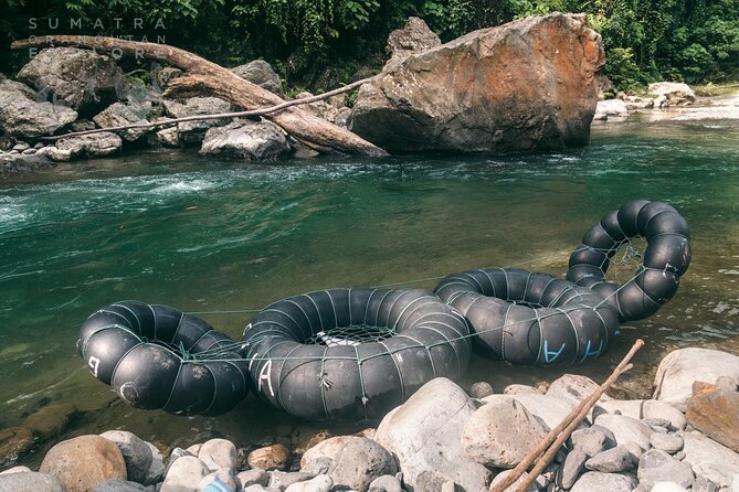 2 Days and 1 Night Ethical Jungle Trek - Day 2: Breakfast, more forest, and a tube ride home