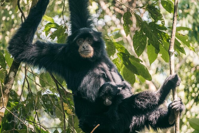 2 Days and 1 Night Ethical Jungle Trek - The guides make the difference