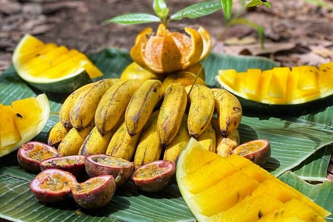 2 Days and 1 Night Ethical Jungle Trek - The campsite: simple comfort with plenty of jungle atmosphere