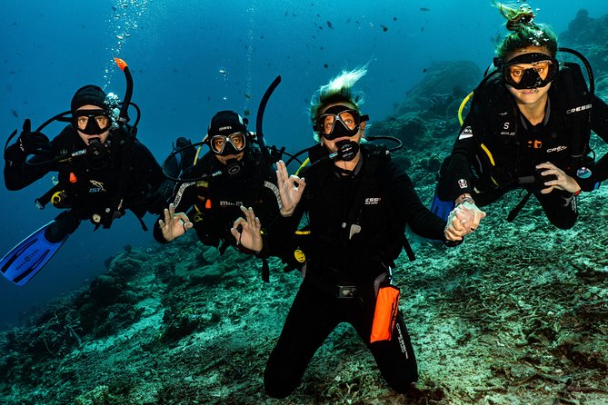 2 Days Discover Scuba Diving in Nusa Lembongan - Scuba Initiation - The underwater scenery and animal life