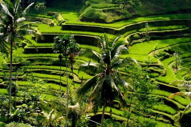 2 Days Mount Batur Sunrise Trekking With Private Ubud Day Tour - Transfers from Seminyak and other parts of Bali