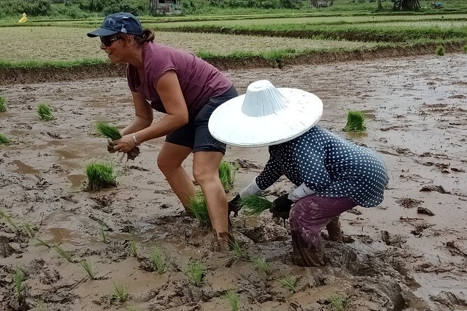 2 Days Private Tour to See Bull Race and Raflesia Arnoldi Flower - What is included, and what you still pay for