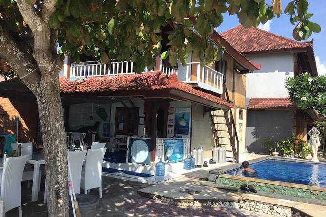 2 or 3 dives in Nusa Lembongan and Penida, for certified diver (in Lembongan) - Blue Corner and Gamat Bay add variety