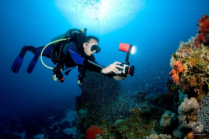 2 or 3 dives in Nusa Lembongan and Penida, for certified diver (in Lembongan) - Certification, fitness, and equipment checks
