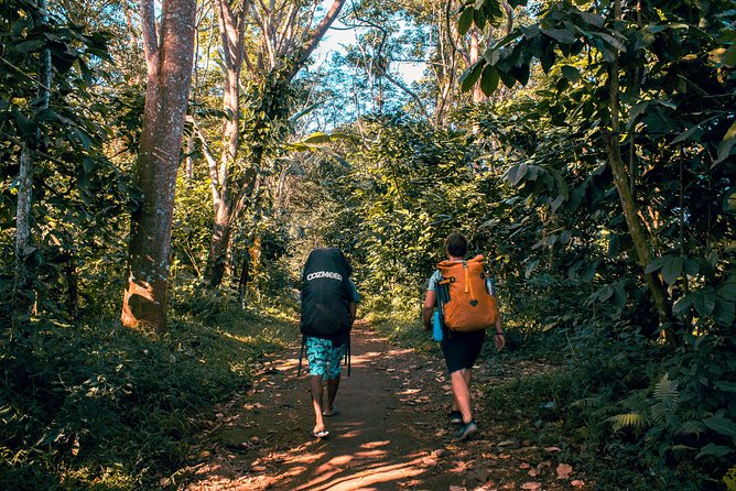 2D1N Senaru Crater Rim Trekking - Forest, Pos 1, Pos 2, and lunch at Pos 3