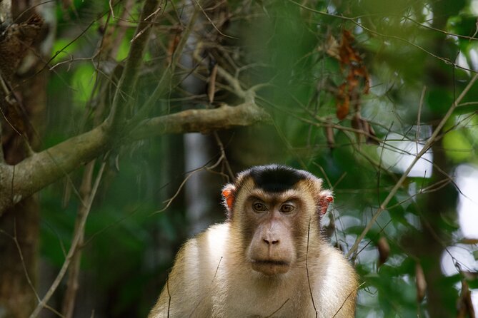 3-Day Bukit Lawang Tour Including 1-Day Ethical Jungle Trekking - The tube raft return adds a second kind of adventure