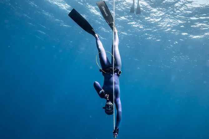3-Day Freediving Level 1 Course - Is $450 a fair price for three days?