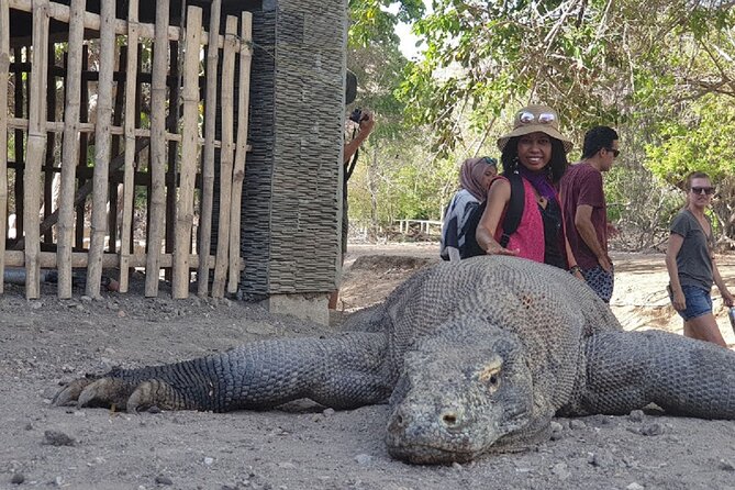 3-Day Komodo island Tour with or without Roundtrip Flight From Bali - Day one: Kelor, Manjarite, and Rinca Island