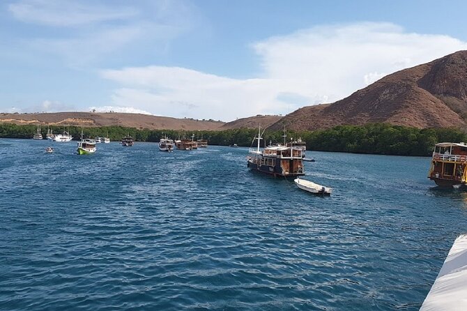 3-Day Komodo island Tour with or without Roundtrip Flight From Bali - Hotel, meals, and group size