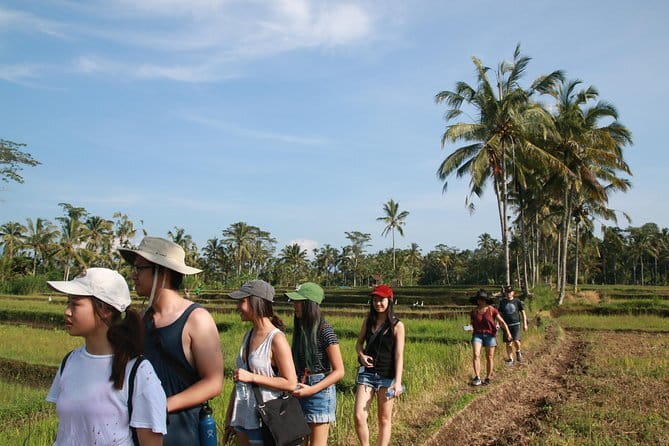 3-Day Private Sightseeing Tour of Bali with Hotel Pickup - The pace, comfort, and practical tradeoffs