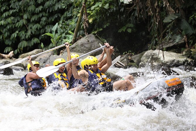 3 Days for the best of Ubud Private Tour - The price, inclusions, and practical value