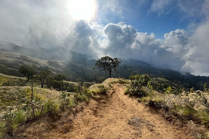3 Days Mount Rinjani Complete Tour @All In One Price - Day 3: The 2am summit climb, lake, and hot spring