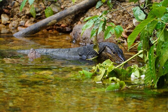 3 Days Orangutan Sumatra Jungle Trekking with Rafting - What the $204.21 price represents