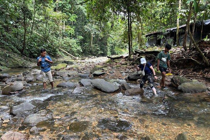 3 Days Orangutan Sumatra Jungle Trekking with Rafting - Who should book this jungle adventure
