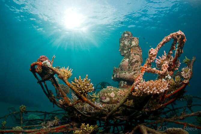 3 Days PADI Open Water Course in Pemuteran - Days two and three: four ocean sessions