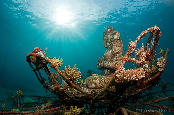 3 Days PADI Open Water Course in Pemuteran - What $425 gets you in practical terms