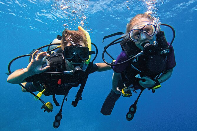 3 Days PADI Open Water Course in Pemuteran - Day one: online theory and confined-water skills
