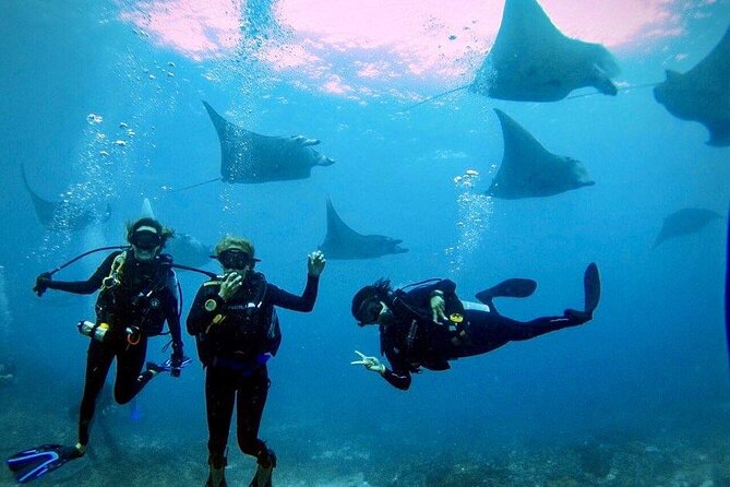 3 Epic Dives in Nusa Penida - Certified Divers' Day Trip - Key points to know before booking