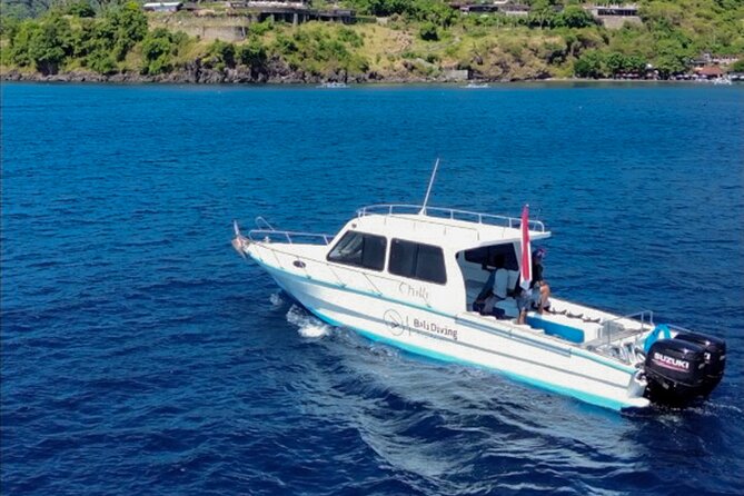 3 Epic Dives in Nusa Penida - Certified Divers' Day Trip - From South Bali to the Sanur harbor