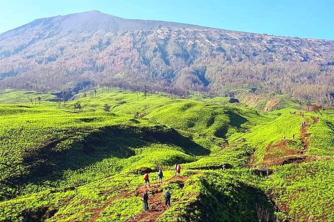 3D 2N Mount Rinjani Trekking Tour To Summit And Lake - Guides, porters, and the human side of the trek