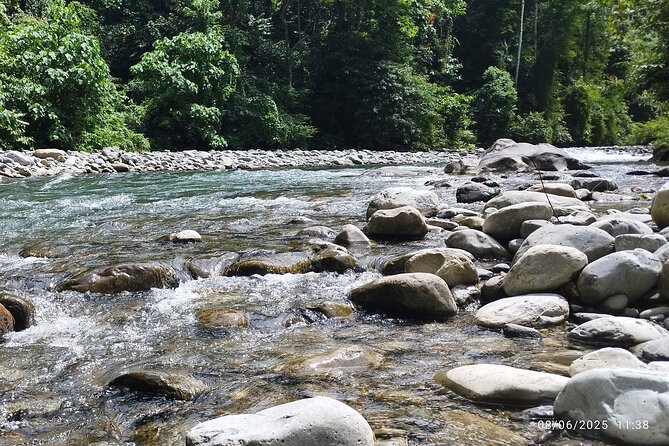 3D2N Jungle Trek | 2 Night accommodation | Pick up and drop off - Day four, an early forest start and river exit