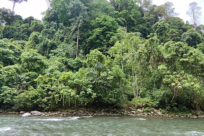 3D2N Jungle Trek | 2 Night accommodation | Pick up and drop off - Day five, four hours back toward Medan